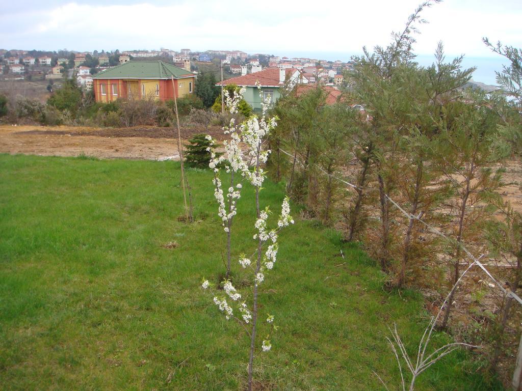 Ağva Titanik Pansiyon מראה חיצוני תמונה
